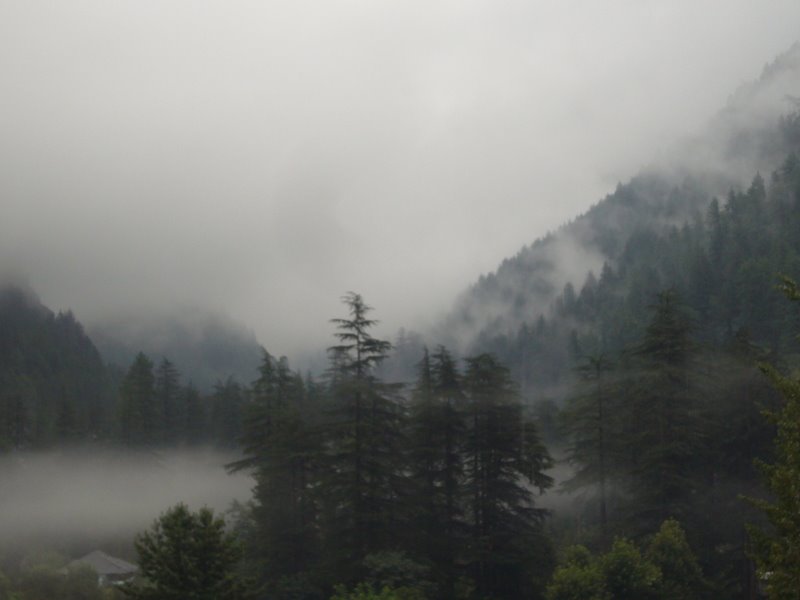 Travel - India - Himachal Pradesh - Parvati Valley - Kassol